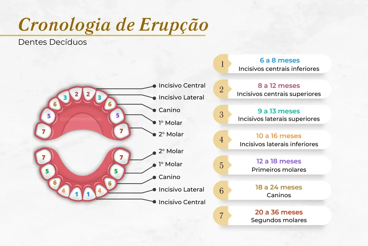 Primeira consulta odontopediátrica: quando marcar, o que acontece e como preparar